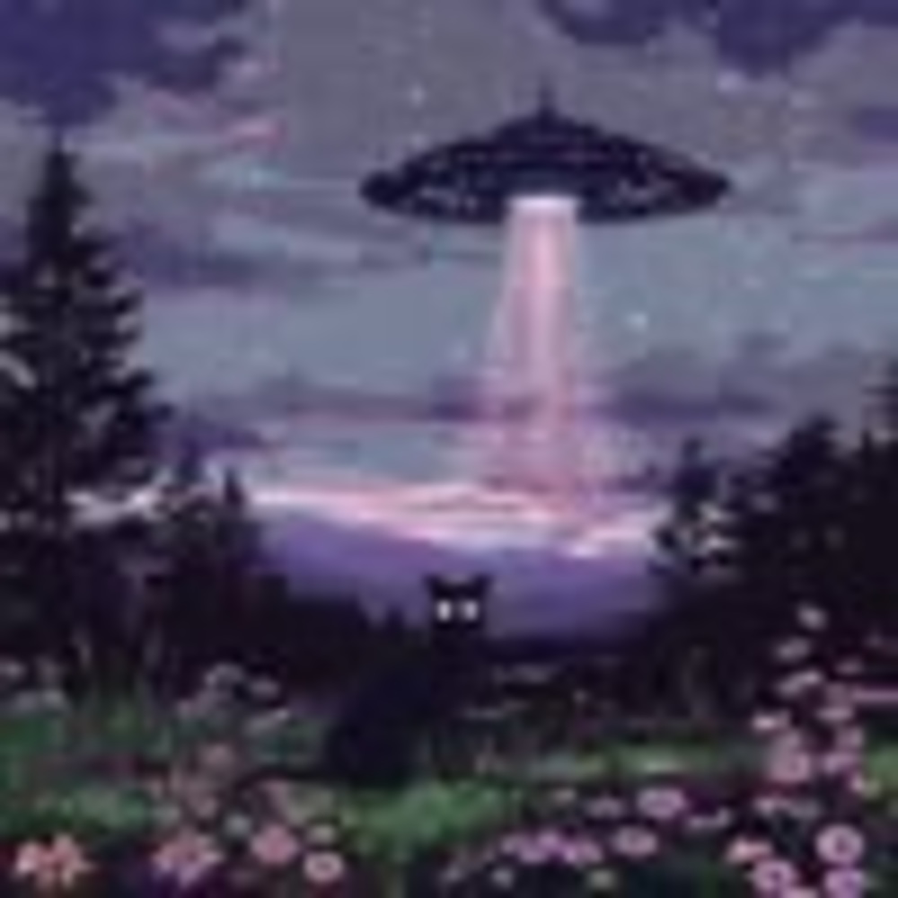 Meet your Posher, Evelyn